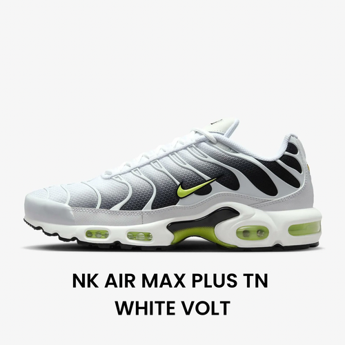 Special Sneakers™️