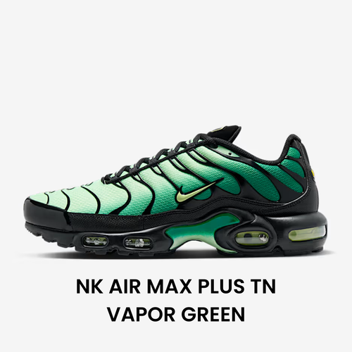 Special Sneakers™️